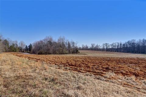 891 Perkinson Rd, Ruffin, NC 27326 photo 18