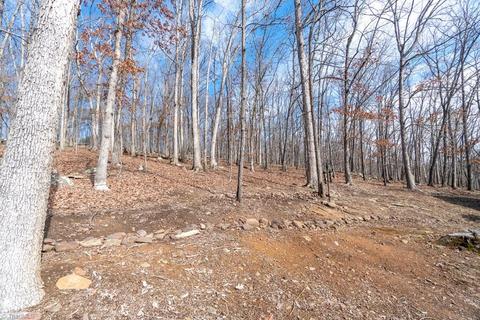 1110 Wilkins St, Mayodan, NC 27027 photo 36