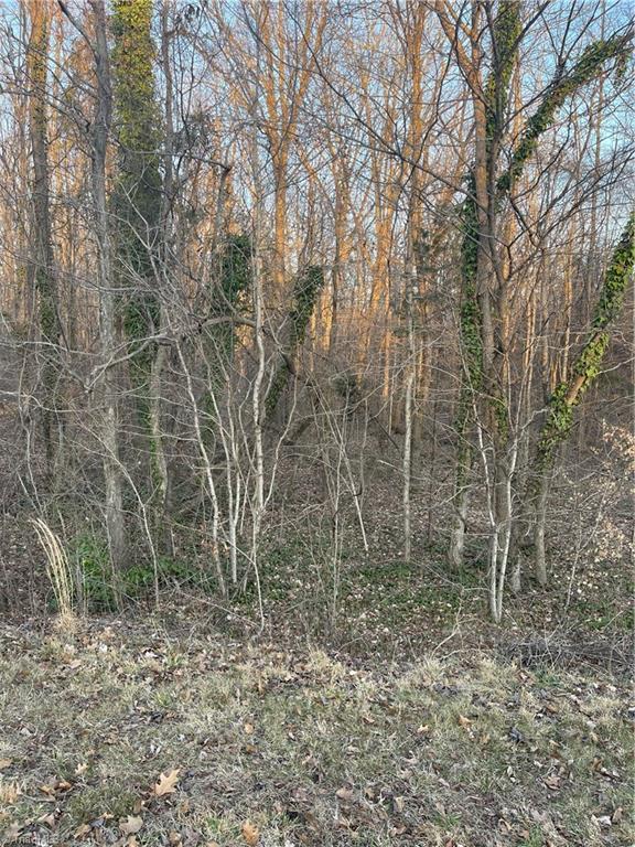 000 Oscar Hughes Rd, Thomasville, NC 27360 1 photo MLS