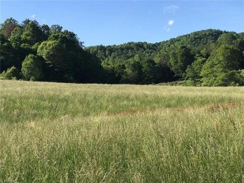 2880 Gladys Fork Rd, Ferguson, NC 28624 photo 11
