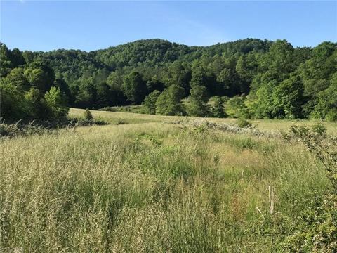 2880 Gladys Fork Rd, Ferguson, NC 28624 photo 5