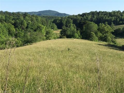 2880 Gladys Fork Rd, Ferguson, NC 28624 photo 1