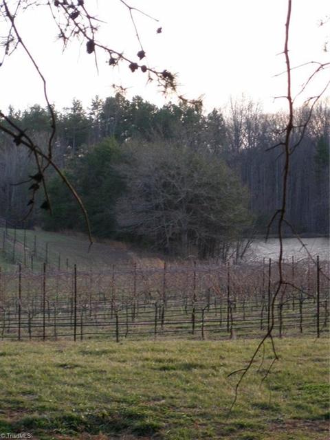 117 Buck Fork Rd, Dobson, NC 27017 photo 31