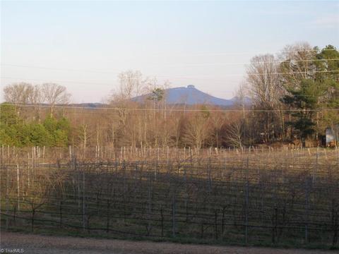 117 Buck Fork Rd, Dobson, NC 27017 photo 32