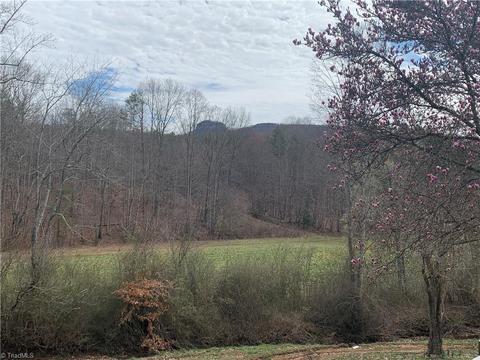 237 Buckingham Rd, Pinnacle, NC 27043 photo 48