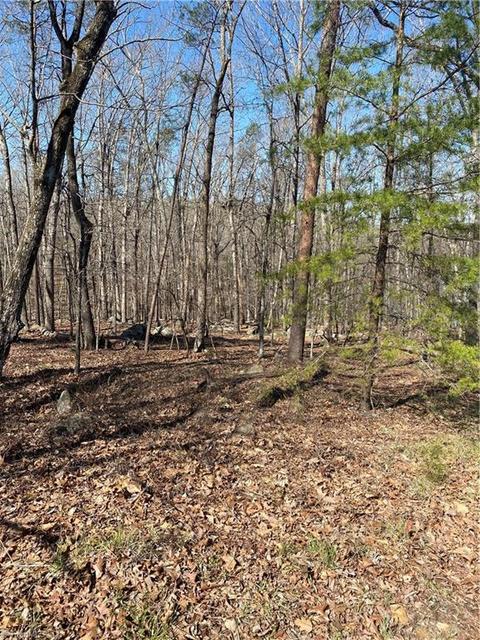 738 Rocky Cove Ln, Denton, NC 27239