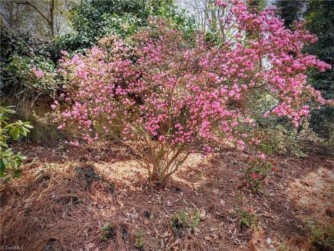 528 E Stadium Dr, Eden, NC 27288 photo 16