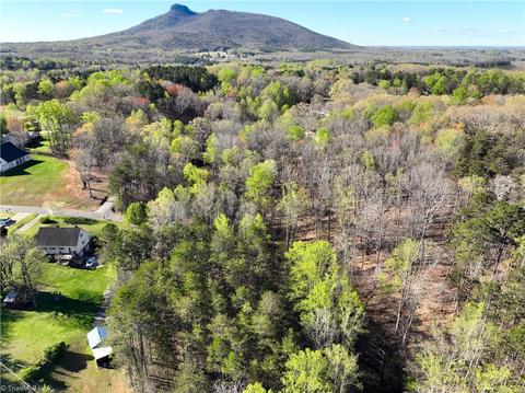 136 Heidi Ct, Pilot Mountain, NC 27041 photo 5