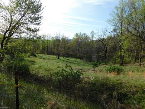 10027 W Pine St, Lowgap, NC 27024 photo 20