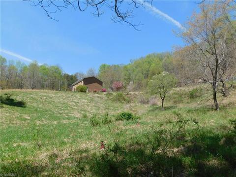 10027 W Pine St, Lowgap, NC 27024 photo 21