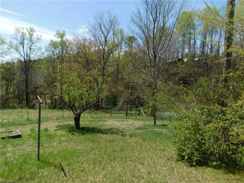 10027 W Pine St, Lowgap, NC 27024 photo 16
