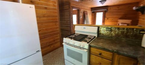 2203 Staghorn Rd, Purlear, NC 28665 photo 10