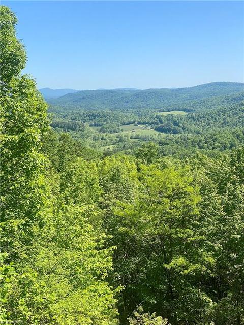 348 Dancy Mountain Pt, Mcgrady, NC 28649 photo 1