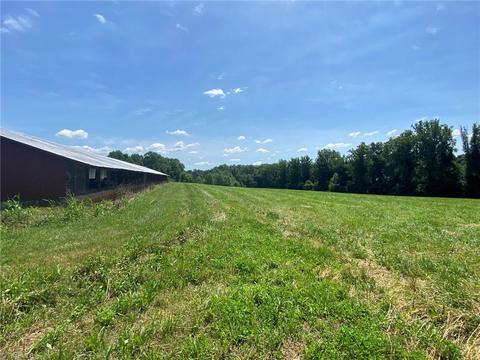 641 Cody Trl, Dobson, NC 27017 photo 13