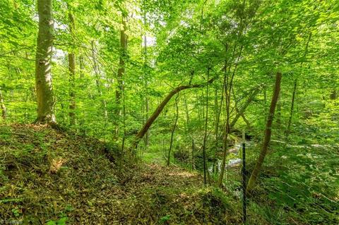 361 Eagle Falls Rd, Madison, NC 27025 photo 43