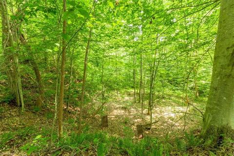 361 Eagle Falls Rd, Madison, NC 27025 photo 44