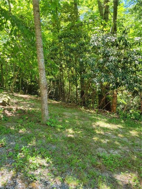 2341 Grissel Tail Rd, Traphill, NC 28685 photo 27
