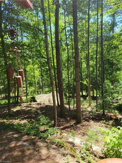 2341 Grissel Tail Rd, Traphill, NC 28685 photo 26