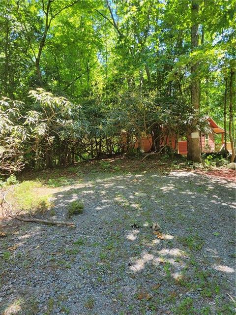 2341 Grissel Tail Rd, Traphill, NC 28685 photo 23