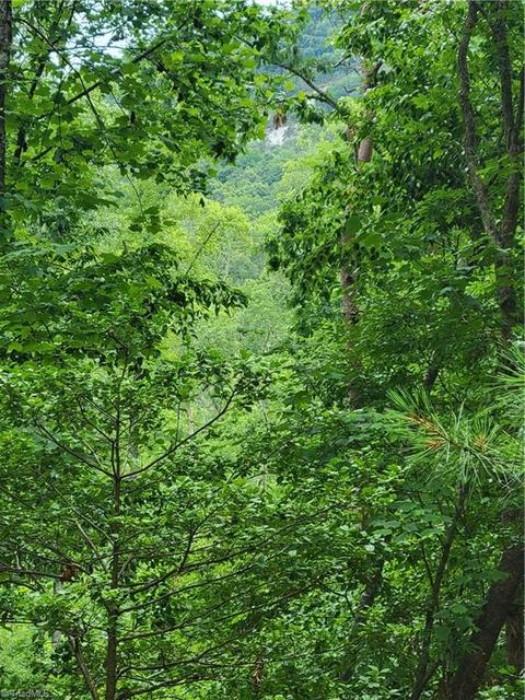 2341 Grissel Tail Rd, Traphill, NC 28685 photo 30