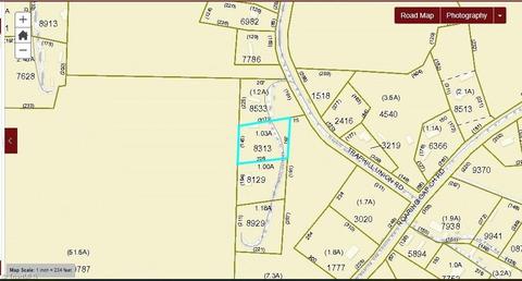 257 Traphill Union Rd, Traphill, NC 28685 photo 33
