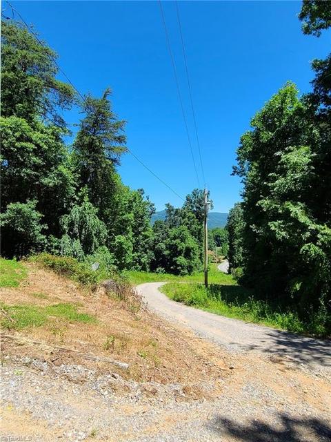 257 Traphill Union Rd, Traphill, NC 28685 photo 14