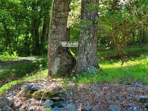 257 Traphill Union Rd, Traphill, NC 28685 photo 2