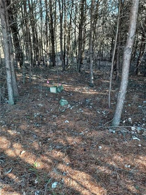 21 Wellman Rd, Hiddenite, NC 28636 photo 13