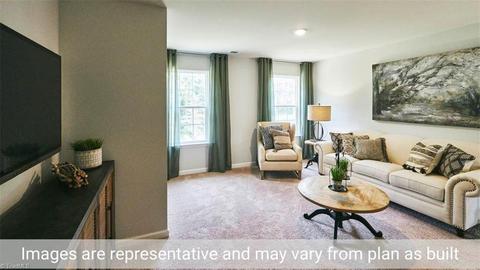 3769 White Horse Dr, Trinity, NC 27370 photo 44
