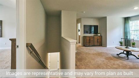 3769 White Horse Dr, Trinity, NC 27370 photo 46