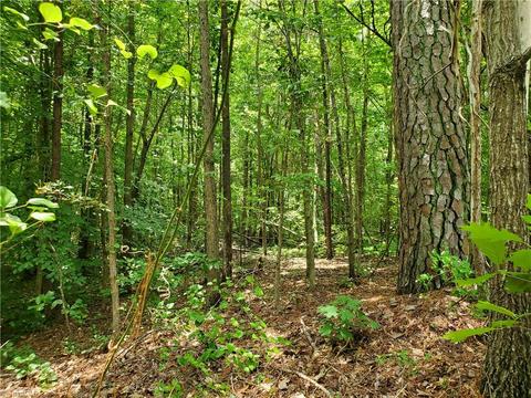 190 Rimrock Rd, Harmony, NC 28634 photo 9