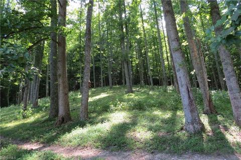 673 Benny Parsons Rd, Purlear, NC 28665 photo 8