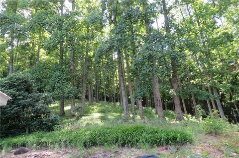 673 Benny Parsons Rd, Purlear, NC 28665 photo 32