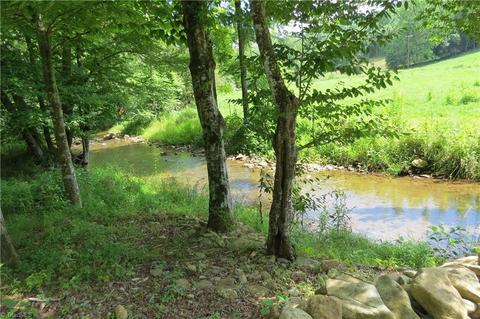673 Benny Parsons Rd, Purlear, NC 28665 photo 1