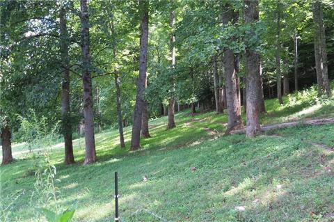 673 Benny Parsons Rd, Purlear, NC 28665 photo 34