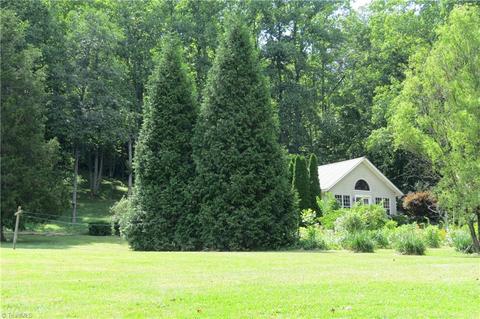 673 Benny Parsons Rd, Purlear, NC 28665 photo 7