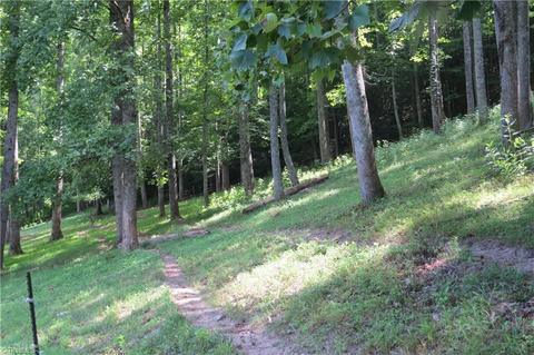 673 Benny Parsons Rd, Purlear, NC 28665 photo 13