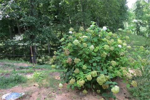673 Benny Parsons Rd, Purlear, NC 28665 photo 33