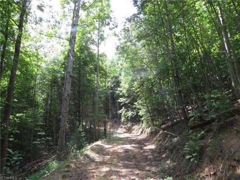 479 Benny Parsons Rd, Purlear, NC 28665 photo 20