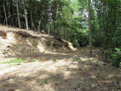 479 Benny Parsons Rd, Purlear, NC 28665 photo 21