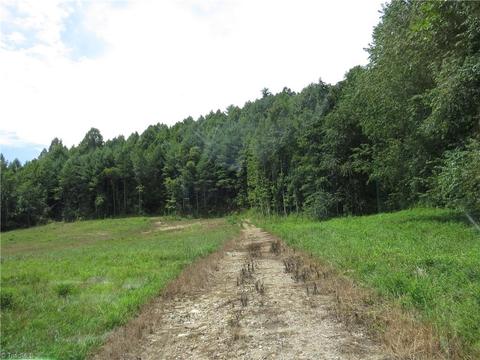 479 Benny Parsons Rd, Purlear, NC 28665 photo 17