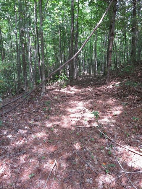 479 Benny Parsons Rd, Purlear, NC 28665 photo 22