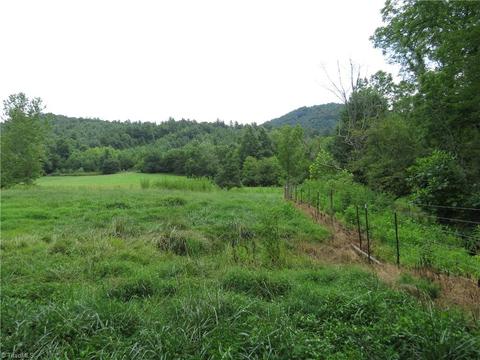 479 Benny Parsons Rd, Purlear, NC 28665 photo 39