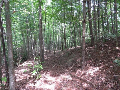 479 Benny Parsons Rd, Purlear, NC 28665 photo 28