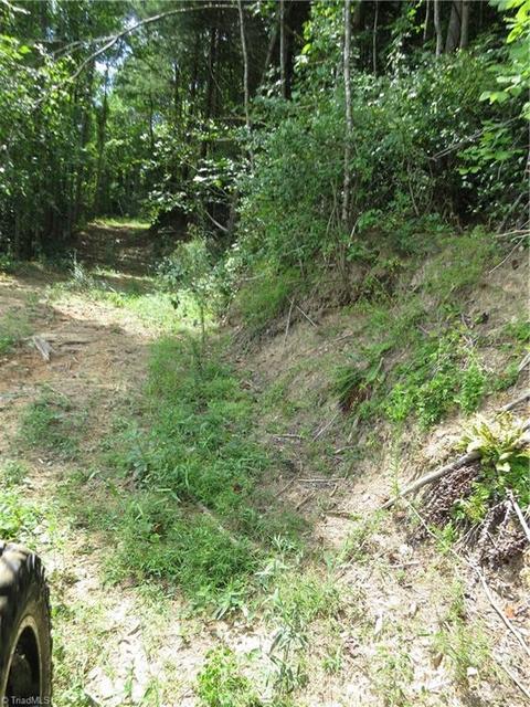 479 Benny Parsons Rd, Purlear, NC 28665 photo 19