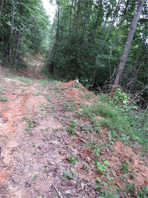 479 Benny Parsons Rd, Purlear, NC 28665 photo 25