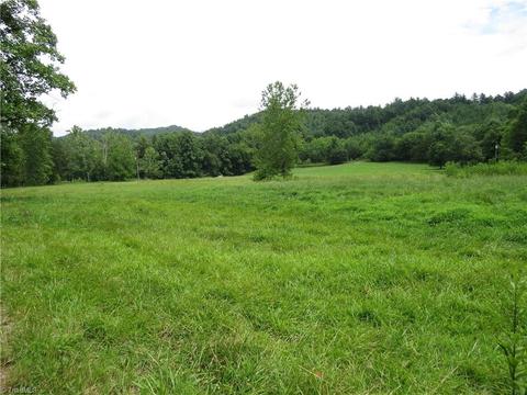 479 Benny Parsons Rd, Purlear, NC 28665 photo 41