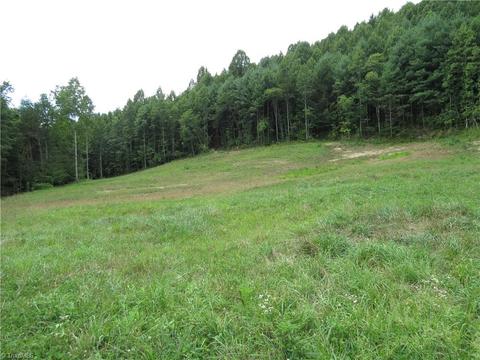 479 Benny Parsons Rd, Purlear, NC 28665 photo 30