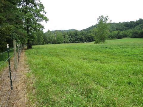 479 Benny Parsons Rd, Purlear, NC 28665 photo 44
