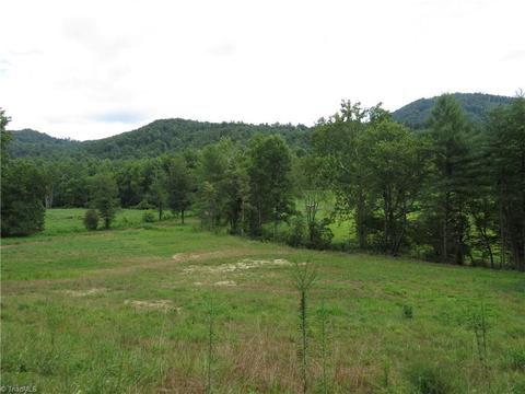 479 Benny Parsons Rd, Purlear, NC 28665 photo 26